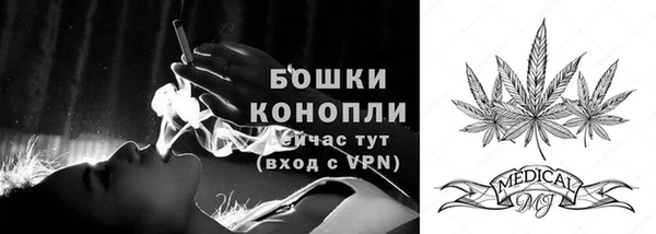 соль ск Тутаев