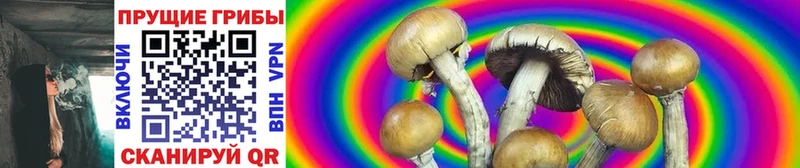 Купить  Западная Двина  Псилоцибиновые грибы GOLDEN TEACHER 